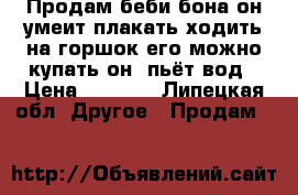 Продам беби бона он умеит плакать,ходить на горшок,его можно купать,он  пьёт вод › Цена ­ 3 500 - Липецкая обл. Другое » Продам   